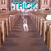 TRICK TRICK TRICK